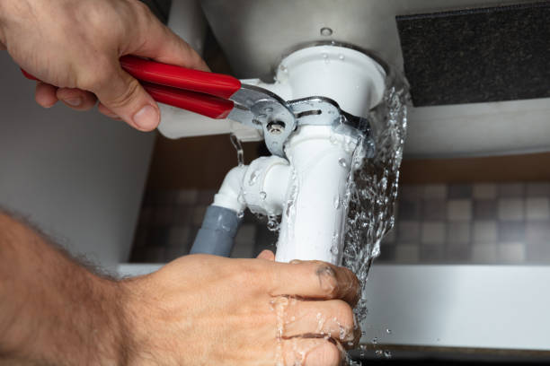 Best Mold removal after water damage  in Kapn, LA