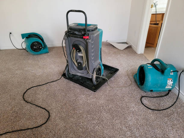 Best Emergency water damage restoration  in Kapn, LA