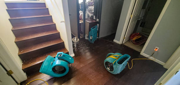 Water damage restoration mold remediation in Kaplan, LA
