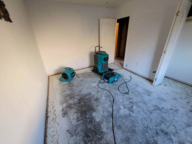 Best Local water damage restoration  in Kapn, LA