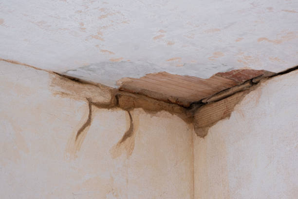 Best Flood damage cleanup  in Kapn, LA