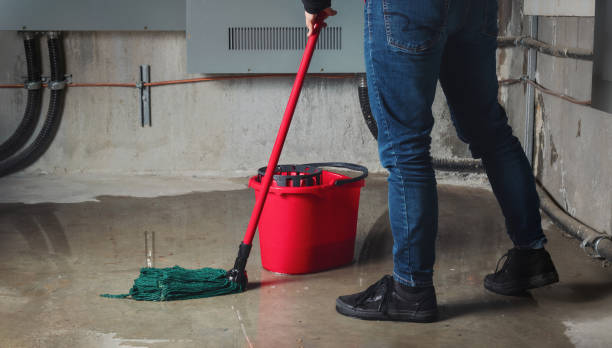 Best Mold removal after water damage  in Kapn, LA