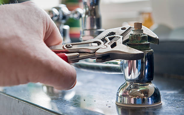 Best Mold removal after water damage  in Kapn, LA