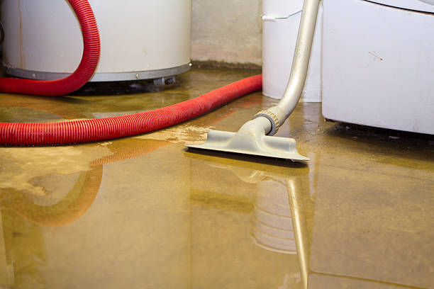 Best Water damage mitigation services  in Kapn, LA