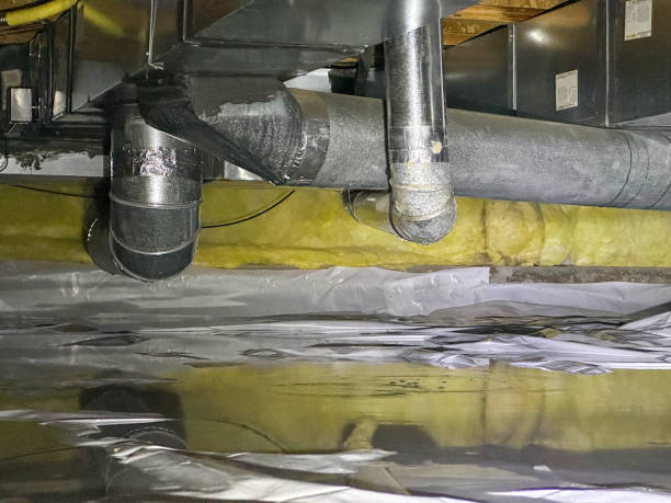 Best Sewage cleanup and water damage restoration  in Kapn, LA