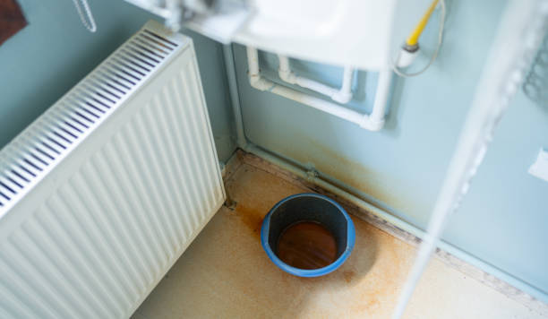 Best Flood restoration services  in Kapn, LA
