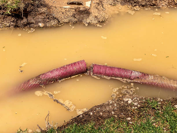 Best Water damage contractors near me  in Kapn, LA