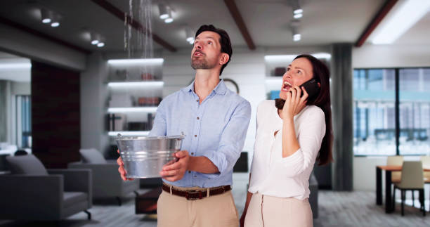 Best Local water damage restoration  in Kapn, LA